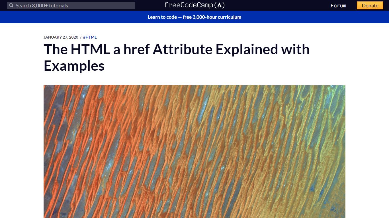 The HTML a href Attribute Explained with Examples - freeCodeCamp.org